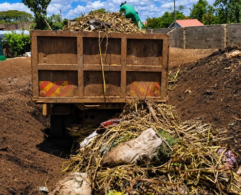 Organic waste